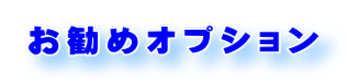 お勧めオプション